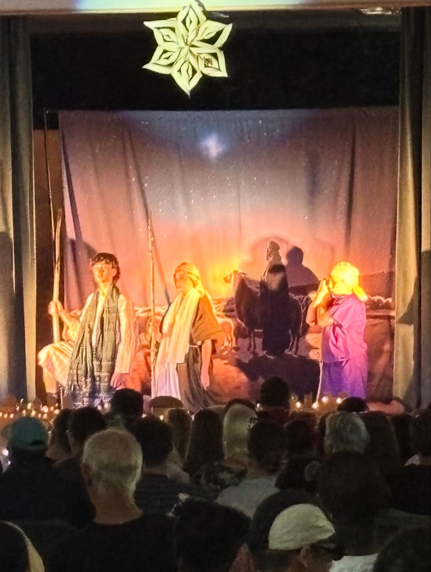 The nativity scene lit in gold on stage, with the audience silhouetted