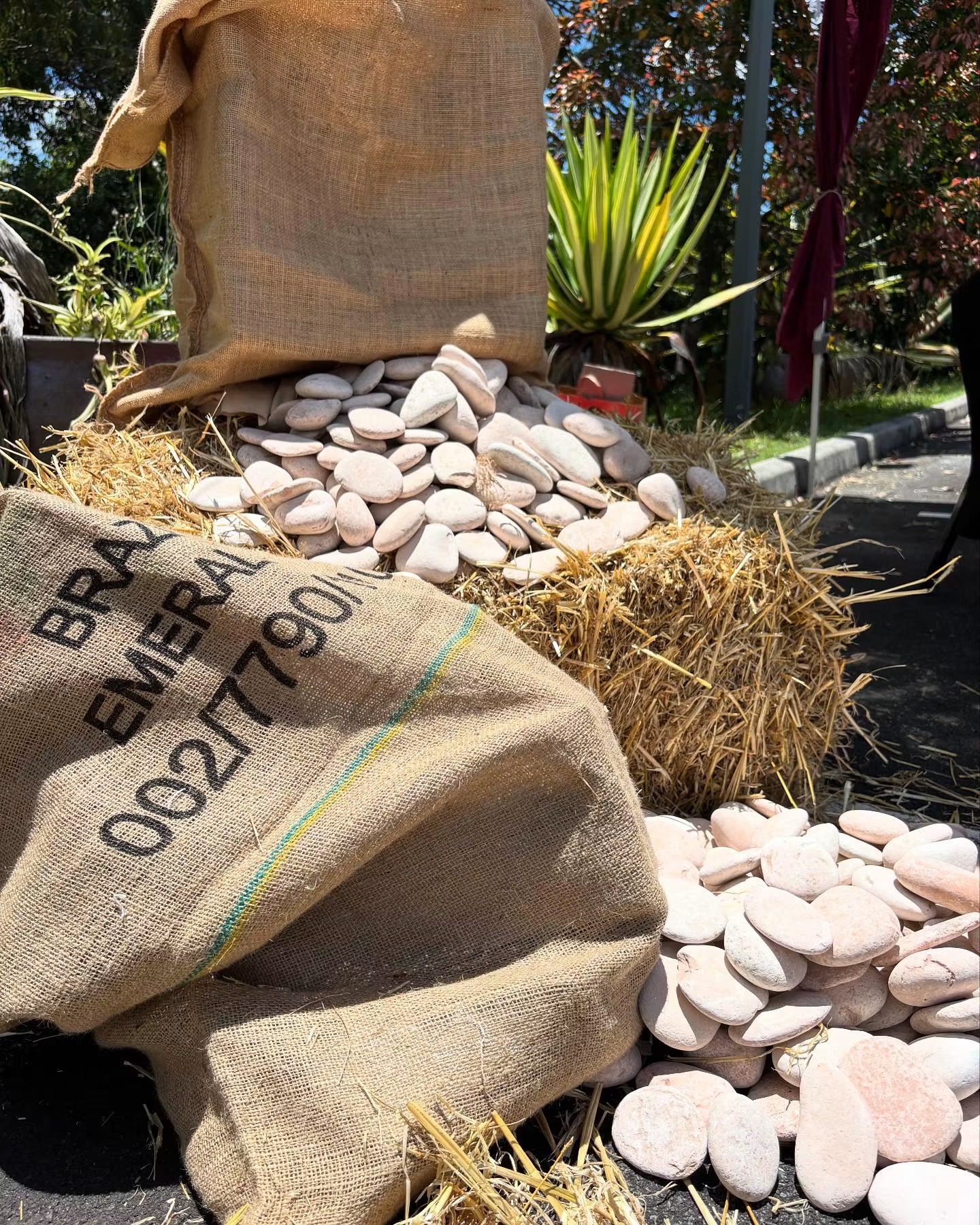 Hessian sacks and smooth white stones arranged on straw at a merchant stall